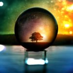 selective focus photography of water globe with tree illustration